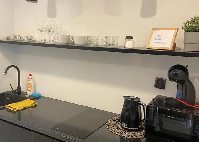 Dodo Acomodo 6 דירה קרקוב